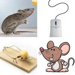 Vier Bilder für 4 Bilder 1 Wort Level 1: Nagetier, Computerzubehör, Käsefalle und Zeichnung