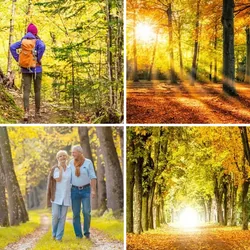 4 Bilder 1 Wort Level 1001 Bilder