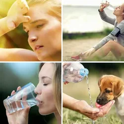 4 Bilder 1 Wort Level 1027 Bilder