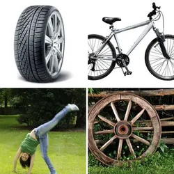 4 Bilder 1 Wort Level 103 Bilder