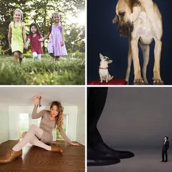 4 Bilder 1 Wort Level 1076 Bilder