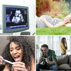 4 Bilder 1 Wort Level 1114 Bilder