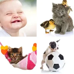 4 Bilder 1 Wort Level 1122 Bilder