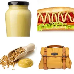 4 Bilder 1 Wort Level 1135 Bilder
