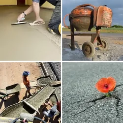4 Bilder 1 Wort Level 1144 Bilder