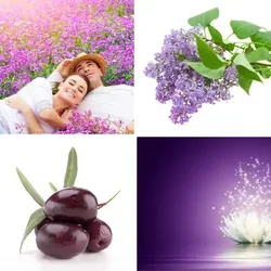 4 Bilder 1 Wort Level 1145 Bilder