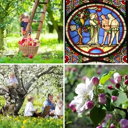 4 Bilder 1 Wort Level 1153 Bilder