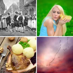 4 Bilder 1 Wort Level 1173 Bilder