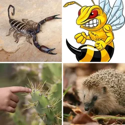4 Bilder 1 Wort Level 1184 Bilder