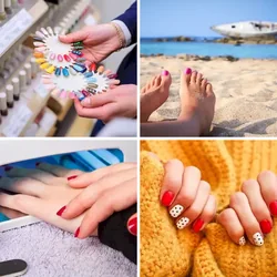 4 Bilder 1 Wort Level 1194 Bilder