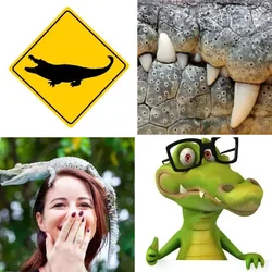 4 Bilder 1 Wort Level 1202 Bilder