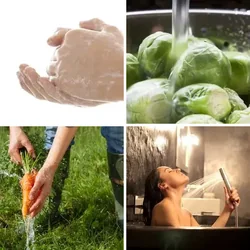 4 Bilder 1 Wort Level 1207 Bilder