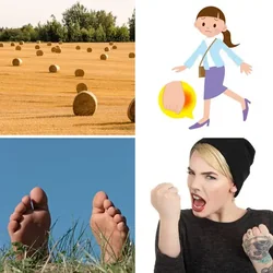 4 Bilder 1 Wort Level 1228 Bilder