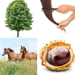 4 Bilder 1 Wort Level 1274 Bilder