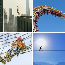 4 Bilder 1 Wort Level 1278 Bilder