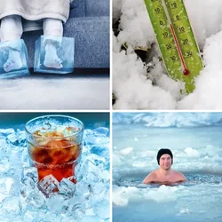 4 Bilder 1 Wort Level 1281 Bilder