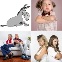 4 Bilder 1 Wort Level 1316 Bilder