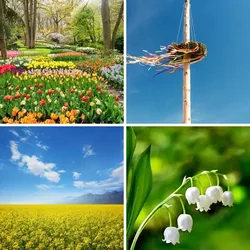 4 Bilder 1 Wort Level 1336 Bilder