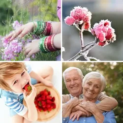 4 Bilder 1 Wort Level 1365 Bilder