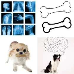 4 Bilder 1 Wort Level 1366 Bilder