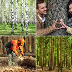 4 Bilder 1 Wort Level 1389 Bilder