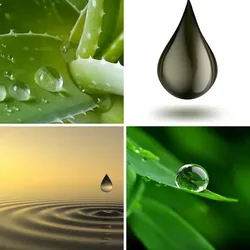 4 Bilder 1 Wort Level 1390 Bilder