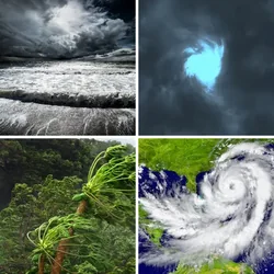 4 Bilder 1 Wort Level 1427 Bilder