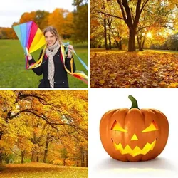 4 Bilder 1 Wort Level 144 Bilder
