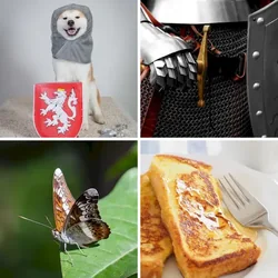 4 Bilder 1 Wort Level 1444 Bilder