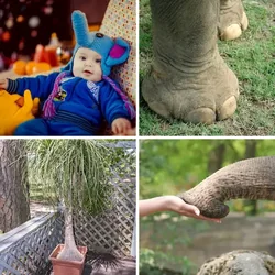 4 Bilder 1 Wort Level 1459 Bilder