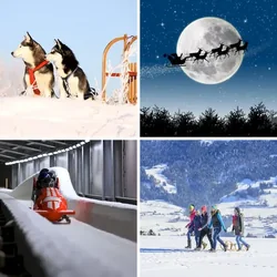 4 Bilder 1 Wort Level 1461 Bilder