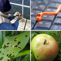 4 Bilder 1 Wort Level 1510 Bilder