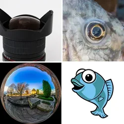 4 Bilder 1 Wort Level 1520 Bilder