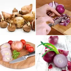 4 Bilder 1 Wort Level 1539 Bilder