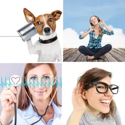 4 Bilder 1 Wort Level 154 Bilder