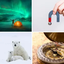 4 Bilder 1 Wort Level 1541 Bilder