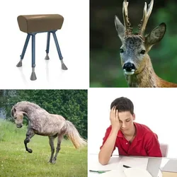 4 Bilder 1 Wort Level 157 Bilder