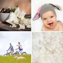 4 Bilder 1 Wort Level 1575 Bilder