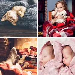 4 Bilder 1 Wort Level 1584 Bilder
