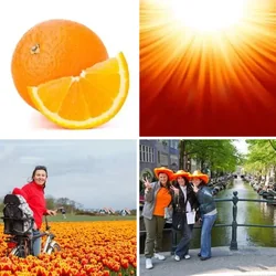 4 Bilder 1 Wort Level 16 Bilder