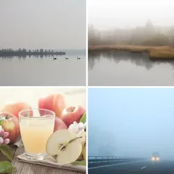 4 Bilder 1 Wort Level 1610 Bilder