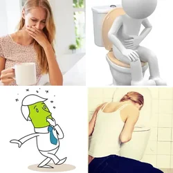 4 Bilder 1 Wort Level 1621 Bilder