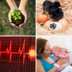4 Bilder 1 Wort Level 1624 Bilder