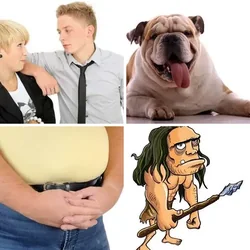 4 Bilder 1 Wort Level 1625 Bilder