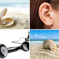4 Bilder 1 Wort Level 163 Bilder
