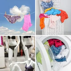 4 Bilder 1 Wort Level 1636 Bilder