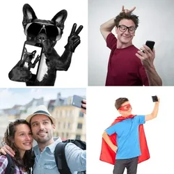 4 Bilder 1 Wort Level 1649 Bilder