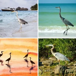 4 Bilder 1 Wort Level 1652 Bilder