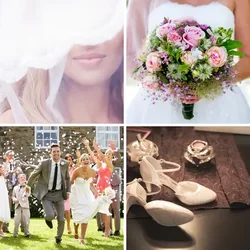 4 Bilder 1 Wort Level 1665 Bilder