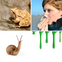 4 Bilder 1 Wort Level 167 Bilder